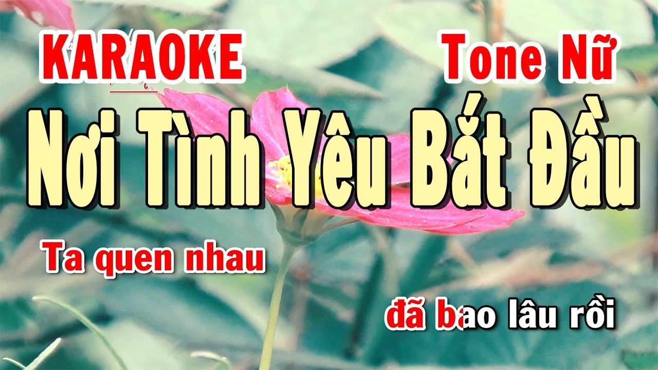 Điểm qua 10 bài hát karaoke nhạc Quang Linh hay nhất cho tone nam