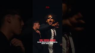 CALI KUSH REMIX Big soto, Akapellah, Neo pistea, Lucho Ssj, Ithan NY, Skisia2, Trainer.