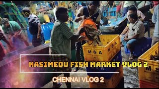 காசிமேடு மீன் மார்க்கெட் | Kasimedu fish Market | Biggest fish Market in Chennai