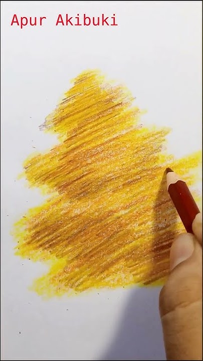 How to draw a maple tree | Easy Maple tree drawing using pencil colors ...