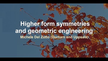 Higher form symmetries and geometric engineering - Michele Del Zotto (Durham and Uppsala)