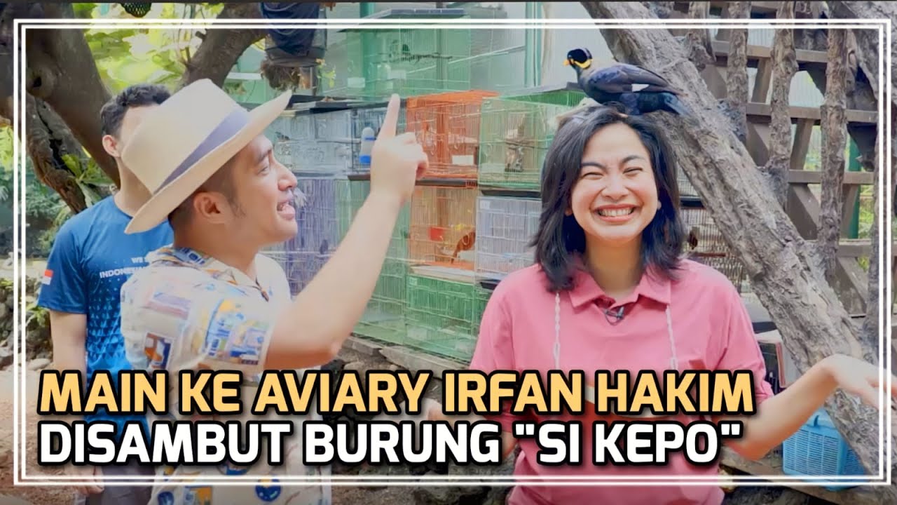 SERU! MAIN KE AVIARY IRFAN HAKIM SAMBIL KEPO