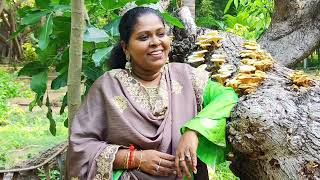 Thamarai Kannangal | Evergreen Tamil Song by Faridha \u0026 Samana Raja #tamilfilmsongs #oldtamilsongs