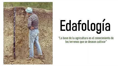 Conceptos generales EDAFOLOGÍA