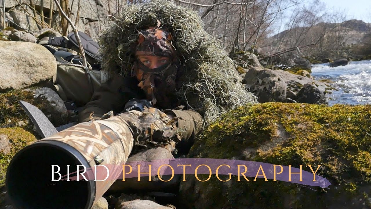 SUCCESS took ONE month || BIRD PHOTOGRAPHY - photographing the dipper || Ghillie blanket