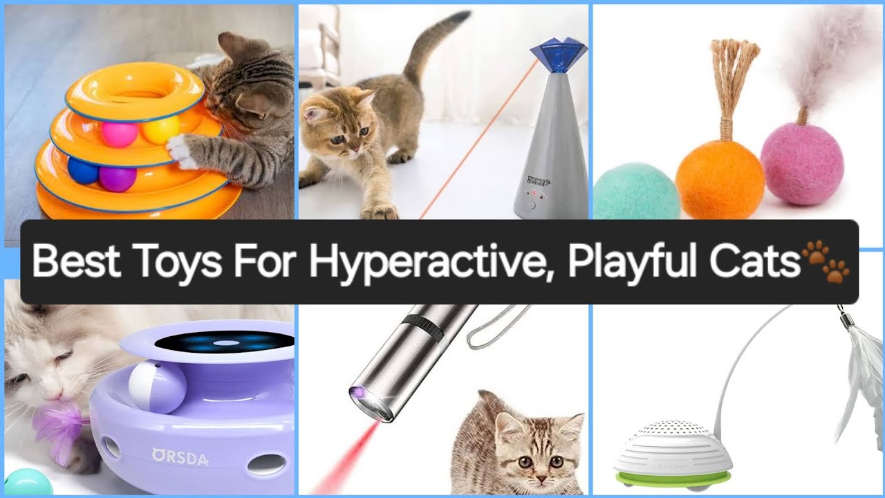 Best Toys For Hyperactive Playful Cats Make Your Cat Happy best-toys-for-hyperactive-playful-cats-make-your-cat-happy
