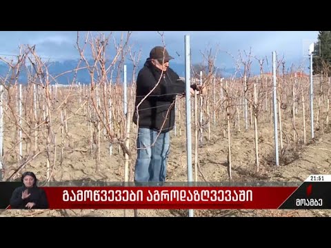 გამოწვევები აგროდაზღვევაში