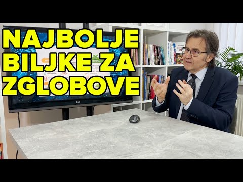 BOL U ZGLOBU - ŠTA SE DEŠAVA SA HRSKAVICOM? DA LI JE MOGUĆA OBNOVA?  Dr Mihajlović