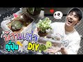 โคตรเจ๋ง!? สร้างบ้านDIYให้น้องเต่าญี่ปุ่น งบแค่100บาท (สวยหรูทำตามได้ง่ายๆ)