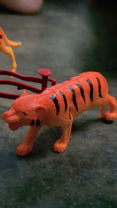 Animals at Home