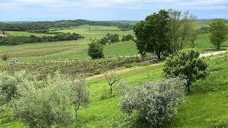 Villa Morgan Restaurant - Istria, Croatia