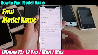 iPhone 12/12 Pro: How to Find Model Name