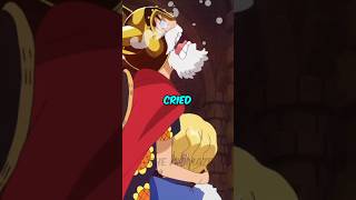 How Many Times Luffy Actually Cried?