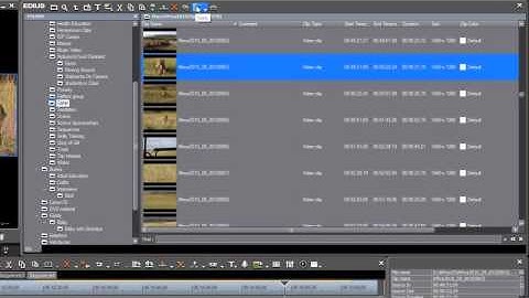 09. Organizing Your Media (Easy Editing with EDIUS)