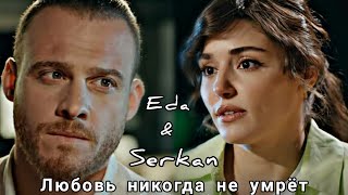 Eda & Serkan || Любовь никогда не умрёт