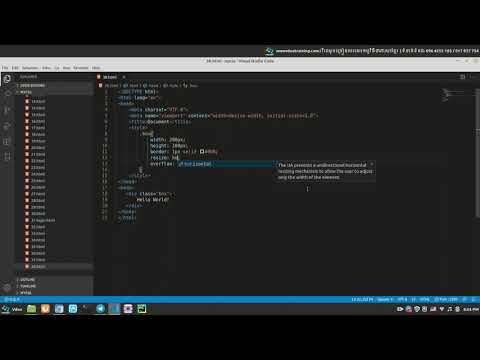 How to use resize property in css