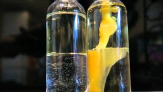 How an emulsifier works - homemade emulsion (mayonnaise)