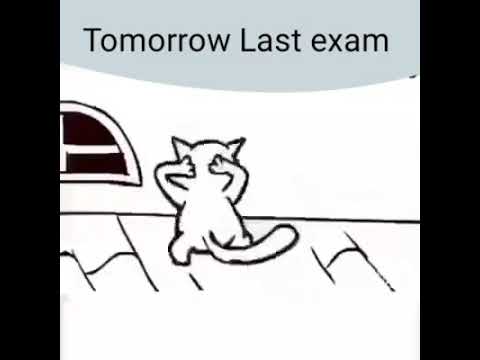 tomorrow-last-exam-funny-meme.