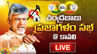 LIVE: Chandrababu Naidu Election Campaign At Kavali | AP Elections 2024 | AP News | MangoNews