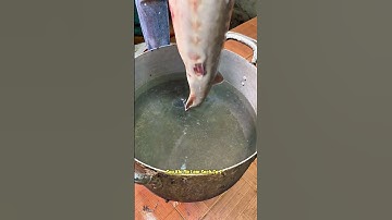 cách sơ chế cá tầm để không bị tanh #amthuctaybac #amthuc #food #monngon