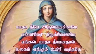 Video thumbnail of "மாதா நீயே அருள்வெள்ளமே கன்னிமேரி திருக்கோலமே - Maadha neeye arul vellame"