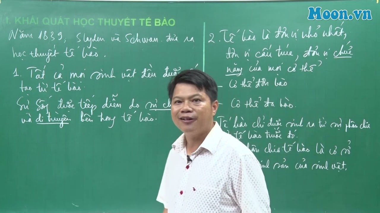 Sinh học 10, chương trình mới. Bài 4. Khái quát tế bào và nước