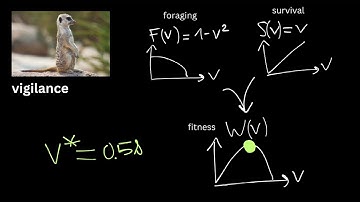 EvoBioCC Lecture on Adaptive Dynamics