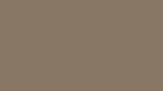 Information A Color a Day: Home Brew - #887766 rgb(136, 119, 102) - 2025-12-21 — Color Screensaver Guide