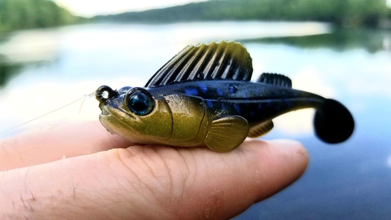 Testing Out the MEGABASS Dark Sleeper (River Bass Fishing)