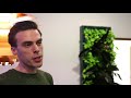 Lund University students develop smart living plant wall