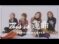 【FURUDIVA】メロン記念日- This is 運命 (This is Unmei) 【4人合唱】