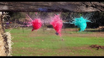 Olympus OM-D E-M1 Mk. II Pro Capture Mode 4K video | ClubulFoto.com