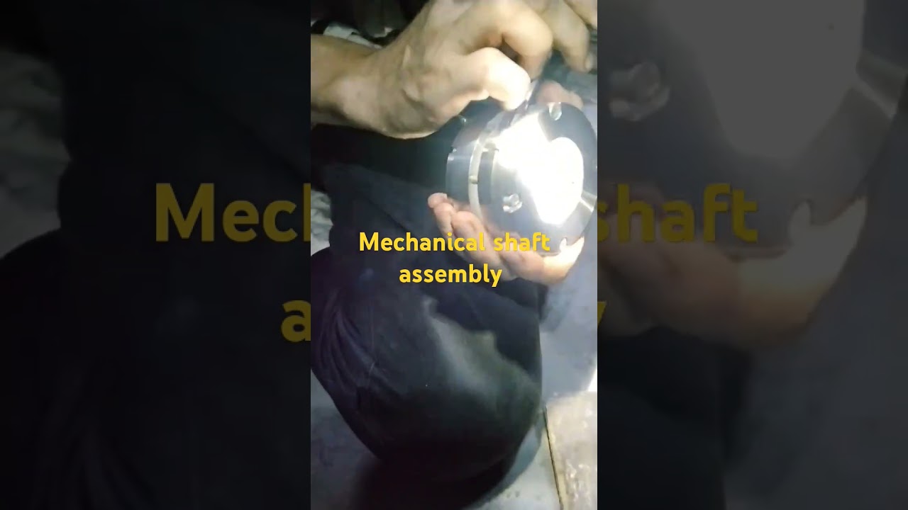 mechanical seal assembly/ submerge cargo pump 