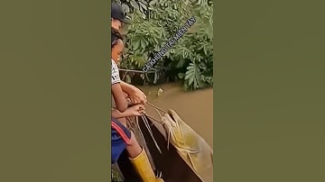 Nóng  Hai Thanh Niên  Miền Tây Bắt Được Cá Khủng Cả Tấn #saigon #tintuc #mientay #hanoi