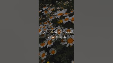 #قرآن |#سورة #يونس |#الآية 25 #Quran |#surah #Yunus #Quranic #verse 25