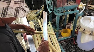 Thai Street Food 2019  Fresh Sugarcane Juice Process  Delicious Thai Food  Bangkok Thailand