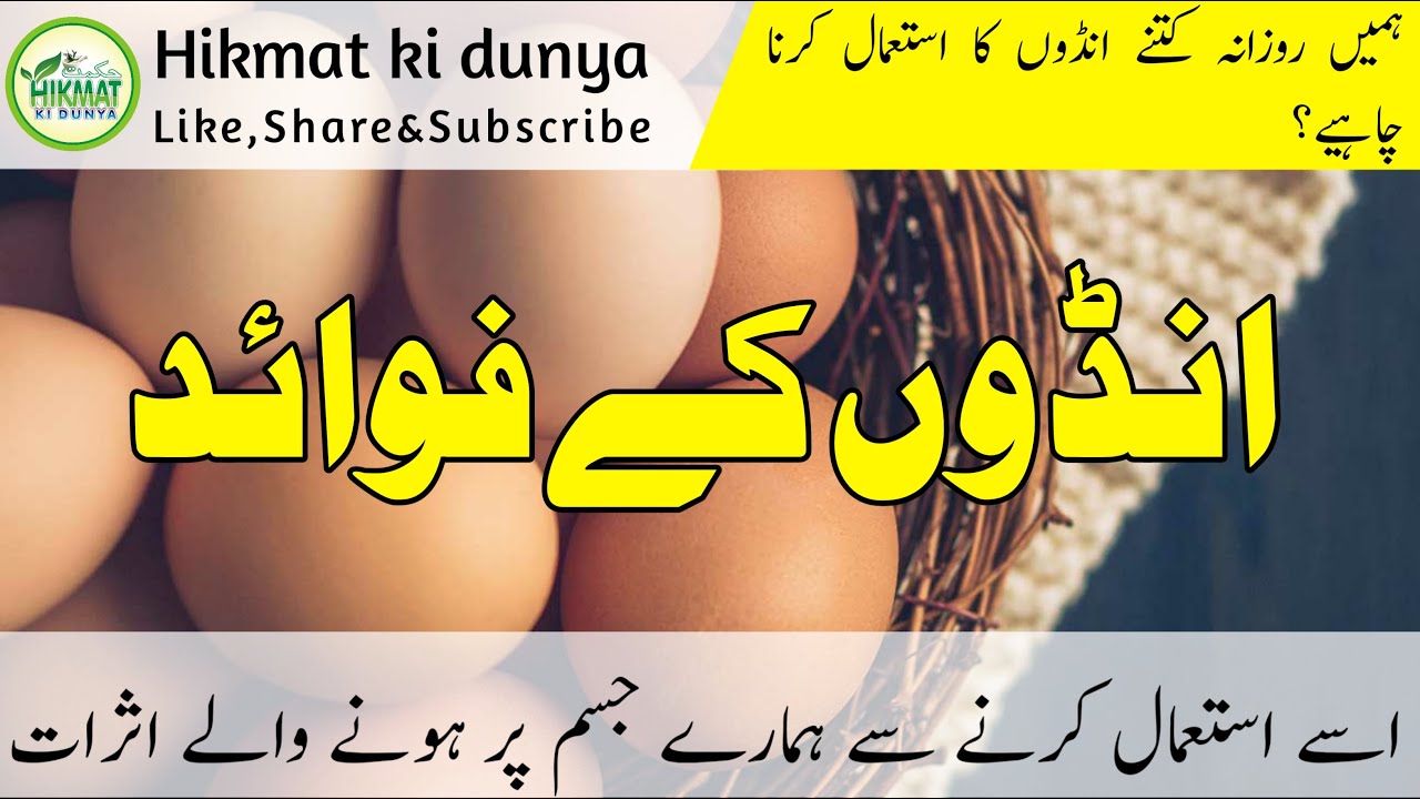 Anda Khane Ke Fayde By Hikmat ki dunya  Egg Benefits in Urdu  Ek Din Me kitne AndaEgg Khane Chahiye