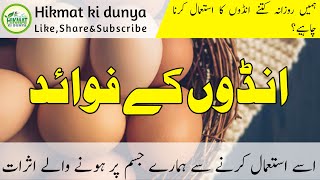 Anda Khane Ke Fayde By Hikmat ki dunya  Egg Benefits in Urdu  Ek Din Me kitne AndaEgg Khane Chahiye