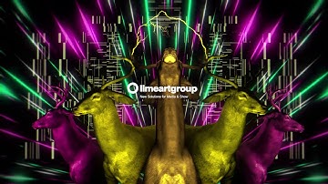 Neon Deers - VJ Loops Pack Vol.40 - 👁‍🗨👁‍🗨 #vjloops #vj #vjing #deer