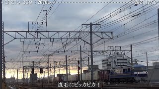 ピカピカ EF210-339 新天地で早速Get! 巛巛