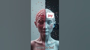 The Brain’s Negativity Bias – And How to Beat It #60secondmindsets #atomichabits #motivation