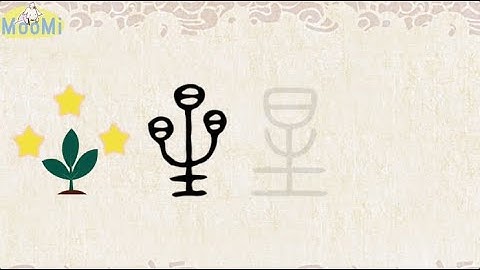 Chinese Character Evolution and Strokes汉字演变+笔画 | 星xing / star, planet