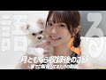 月ともぐらのTV収録後に家でご飯食べながら1人で反省会してみた