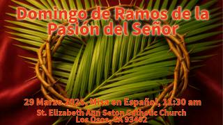 3-29-2026 Domingo Misa 11:30 am live stream