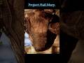 Project Hail Mary | He Gave Up Earth to Save His Alien Friend 🚀💔