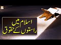 Watch Islam Mein Raste Ke Bhi Huqooq - Quran Suniye Aur Sunaiye - Mufti Suhail Raza Amjadi - ARY Qtv Online In HD