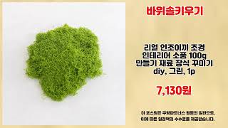 바위솔키우기 추천 | 초특가 한정 세일 지금 바로 구매 | 저렴한 가격   | 득템 기회