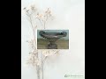 9 inch Oblong Decorative Container with an Old World Feel