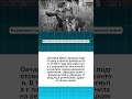 Овчарка Дина — собака-диверсант, спасшая жизни в 1943 году