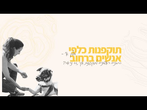 וִידֵאוֹ: תוקפנות בכלבים כלפי אנשים מוכרים